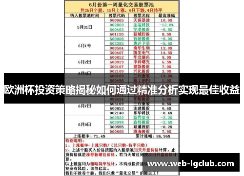 欧洲杯投资策略揭秘如何通过精准分析实现最佳收益