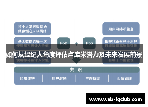 如何从经纪人角度评估卢库米潜力及未来发展前景